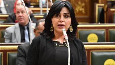 إعلام النواب: الاكتفاء الذاتي من المحاصيل الاستراتيجية أولوية الدولة في الفترة المقبلة لدعم الأمن الغذائي