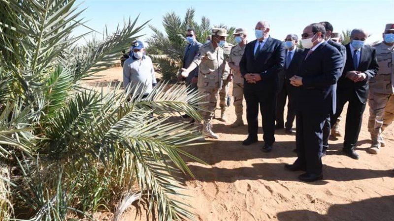 الرئيس السيسي يتفقد