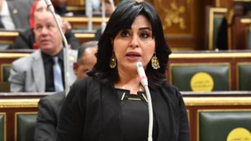 النائبة هند رشاد