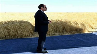 مصر تغرس الخير في توشكى