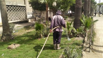 حدائق غرب الإسكندرية تستعد لاستقبال أعياد الربيع