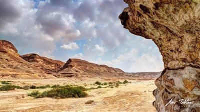 الاحتفال باليوم العالمي للأرض فى محمية وادى دجلة تحت شعار 