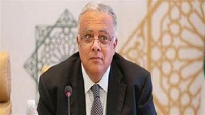 مندوب مصر بجنيف يستعرض إجراءات الحكومة للتخفيف من حدة تداعيات أزمة الغذاء العالمية