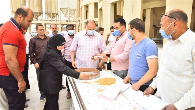 محافظ أسيوط: توريد