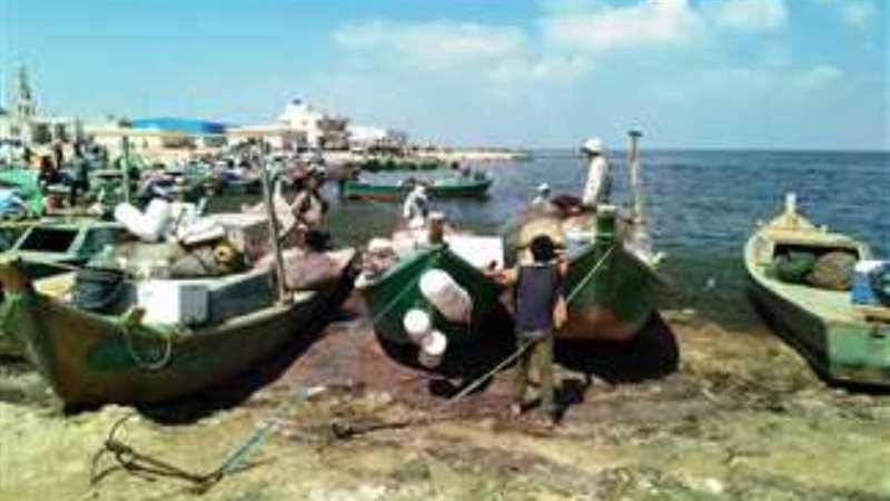 افتتاح موسم الصيد