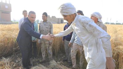 محافظ سوهاج يشهد بدء موسم حصاد القمح لعام 2022 