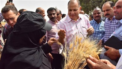 محافظ أسيوط: توريد 124 طن قمح بالشون والصوامع 
