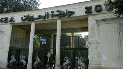 رئيس حدائق الحيوان: انتهاء الاستعدادات لاستقبال الجمهور خلال شم النسيم وعيد الفطر