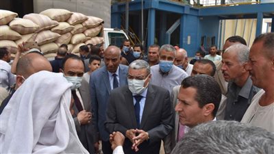 استلام 2932 طن قمح بالشون الحكومية والصوامع منذ بدء التوريد بالمنيا