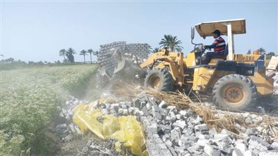 إزالة 16 حالة تعدٍ على الأراضي الزراعية وأملاك الدولة بالبحيرة