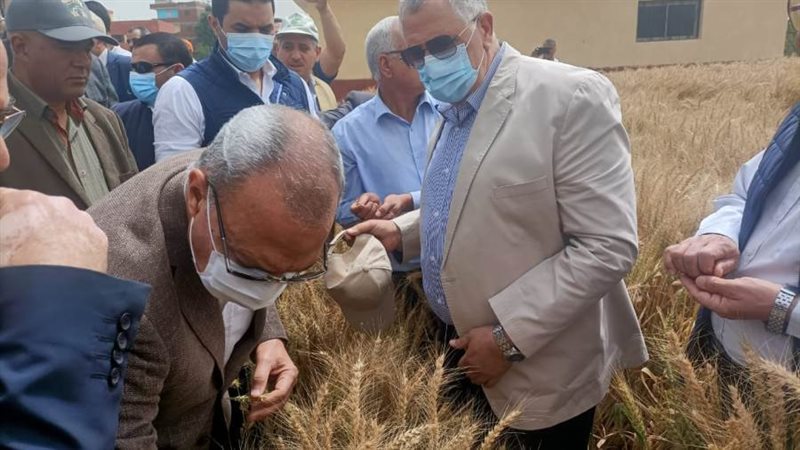 محافظ القليوبية ووزير