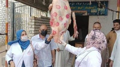 بيطري الشرقية يضبط 535 كجم لحوم وأسماك غير صالحة للاستهلاك الآدمي