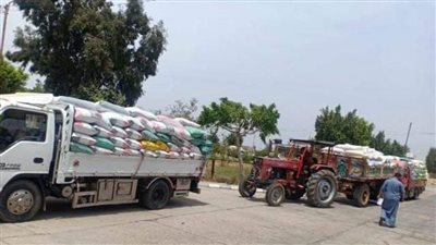 محافظ الشرقية يتابع انتظام سير عملية توريد الأقماح للصوامع والشون 