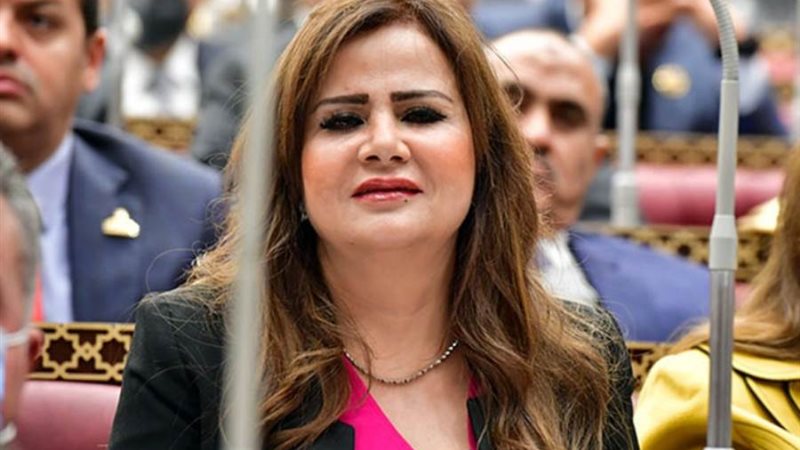 النائبة أمل رمزي