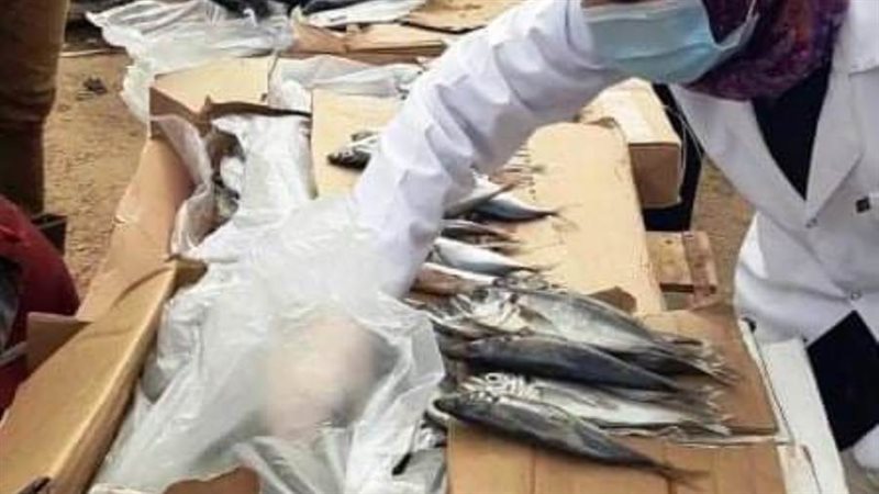 ضبط أسماك غير صالحة