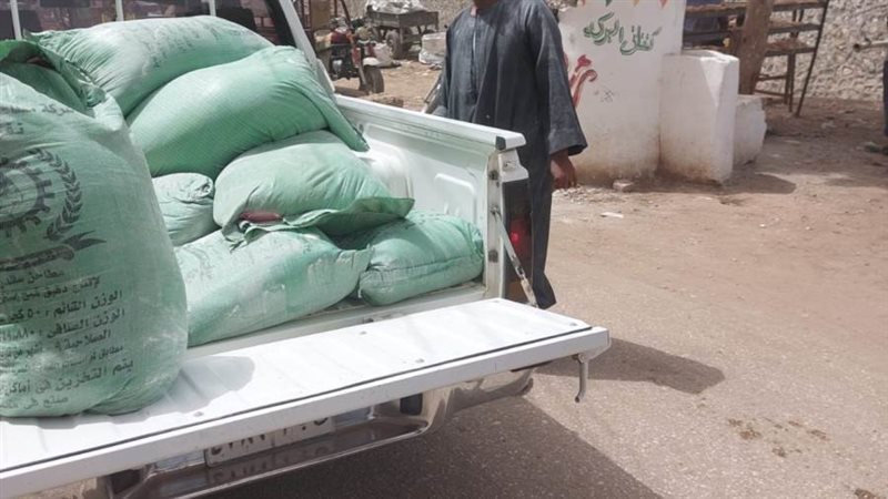 جانب من المضبوطات