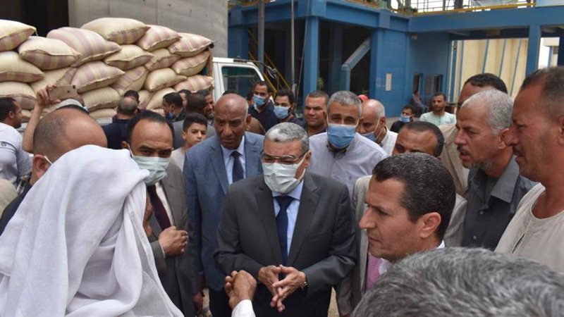 توريد القمح بالمنيا