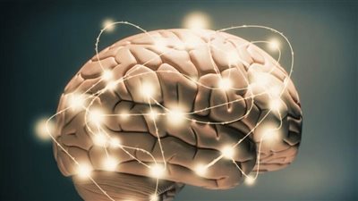 باحثون يحددون شبكة 