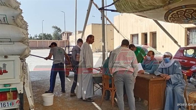 توريد القمح