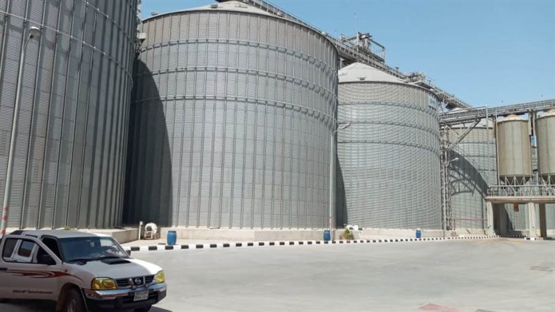 انتظام توريد القمح