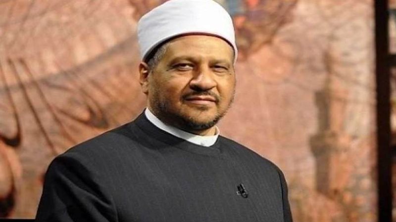 الدكتور مجدي عاشور