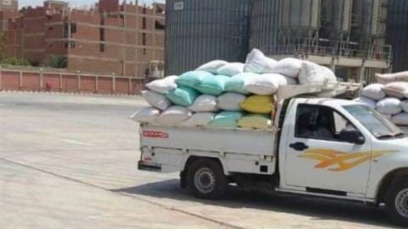 توريد القمح للصوامع