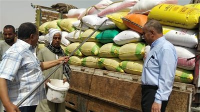 محافظ أسيوط توريد 2129 طن قمح بالشون والصوامع