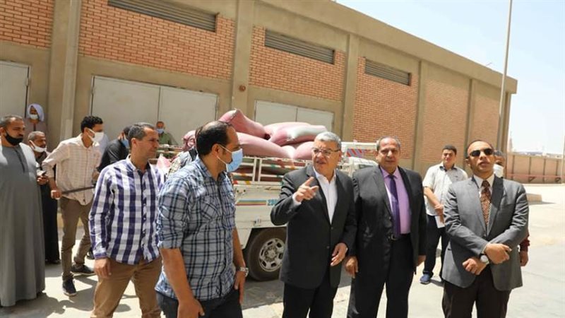 توريد القمح بالمنيا