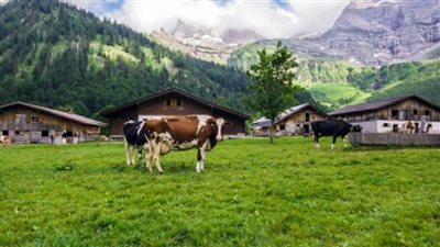 النمسا تعارض حظرا أوروبيا محتملا على الغاز الروسي وتؤمن احتياجات الزراعة والغذاء