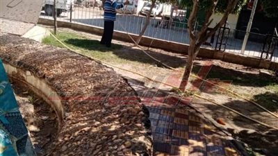 رفع كفاءة منتزه ميدان التحرير ببيلا في كفر الشيخ