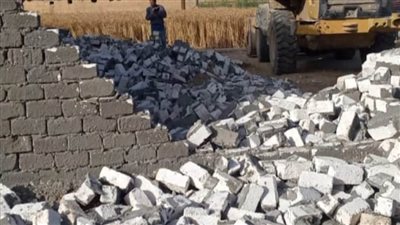 إزالة 17 حالة تعدٍ على الأراضي الزراعية وأملاك الدولة بالبحيرة 