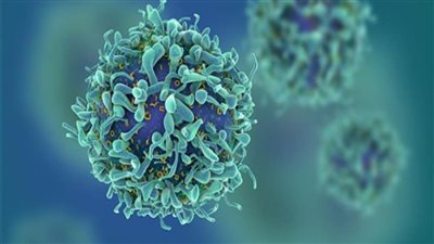 كيف يمكن لشكل الجسم أن يزيد من خطر الإصابة بستة سرطانات مختلفة؟