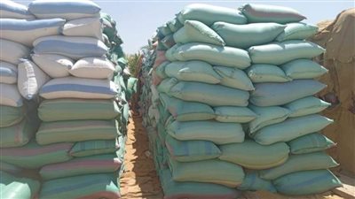 محافظ المنيا توريد 48 ألف طن قمح منذ بدء التوريد بالشون والصوامع