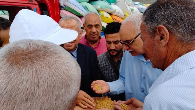 رئيس قطاع الخدمات