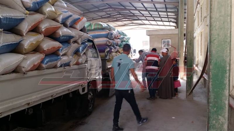 توريد القمح