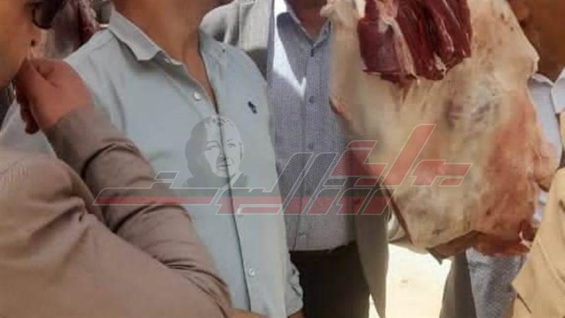 الحملات التموينية