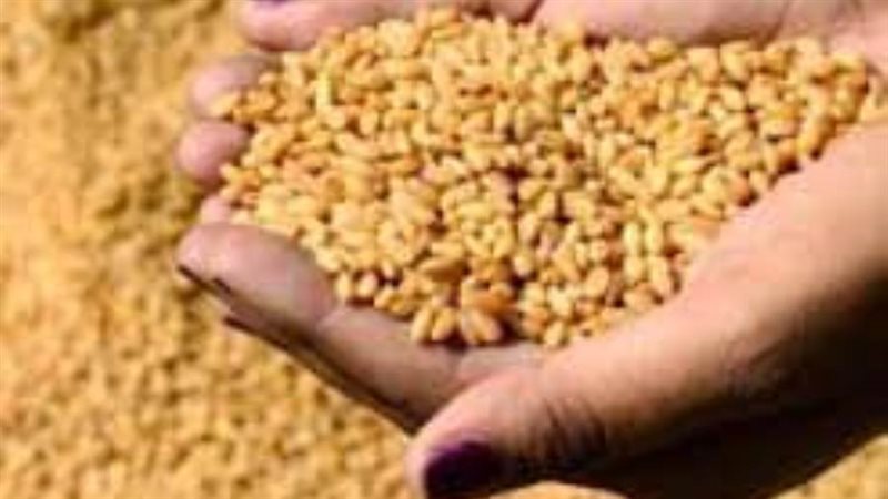 صوامع الوادي الجديد