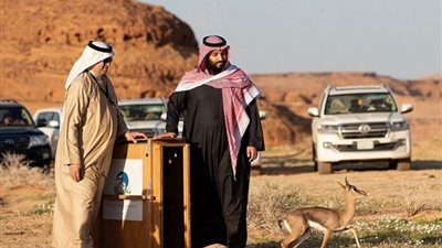 السعودية تعتزم تخصيص محمية طبيعية تتجاوز مساحة بلجيكا بـ11 مرة