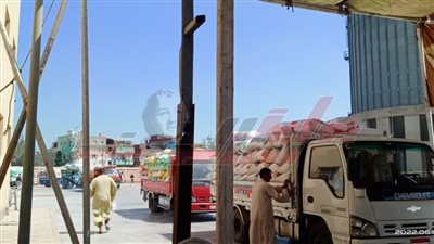 توريد 42565 طنا و456 كيلو قمح بكفر الشيخ