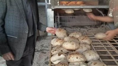 تموين المنيا يحرر 101 مخالفة خلال حملات رقابية بجميع المراكز