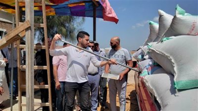 انتظام أعمال توريد القمح  لشون وصوامع محافظة البحيرة