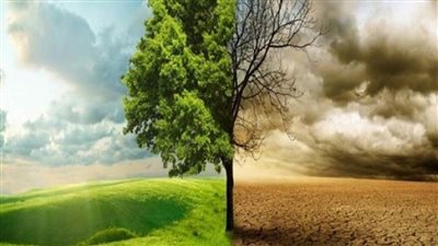 تغير المناخ والحرب.. طعنات في قلب الأمن الغذائي الإفريقي من كل اتجاه