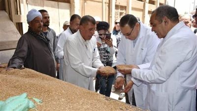 محافظ الشرقية يتفقد شونة بنك التنمية والائتمان الزراعي خلال توريد محصول القمح 