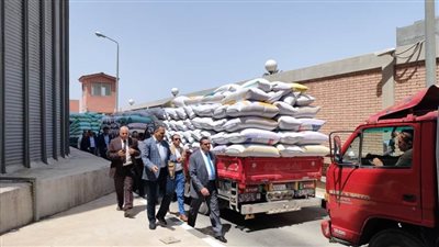 محافظ البحيرة يتفقد أعمال تسليم القمح بالصوامع بدمنهور