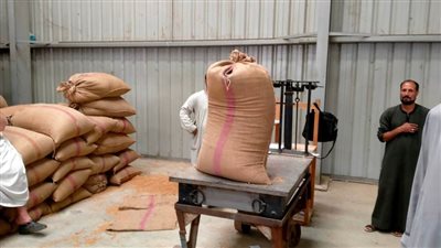 توريد 72 ألف طن من القمح منذ بدء الموسم بالشون والصوامع بالمنيا