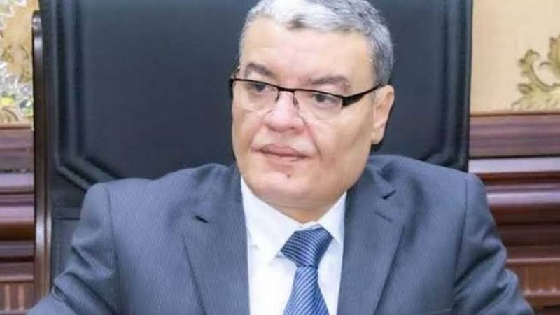 محافظ المنيا