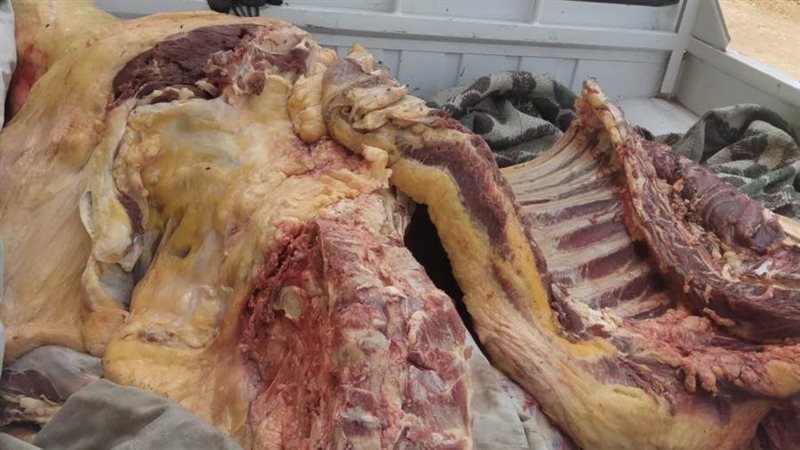 حملات غلي محلات الجزارة