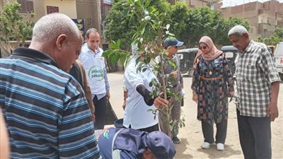 محافظ أسيوط: تنفيذ حملة 