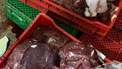 ضبط ٢٥٠ كيلو لحوم ودواجن مجهولة المصدر بإحدى مطاعم الإسماعيلية