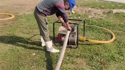 بدء تنفيذ خطة رفع كفاءة المسطحات الخضراء بحي ثالث الإسماعيلية